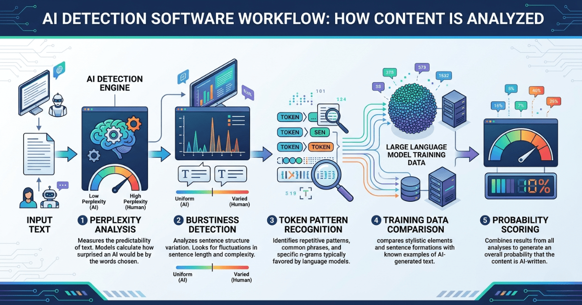 ai-detection-software-working-process